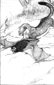 CLB Aesop Illustration 05