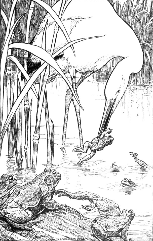 CLB Aesop Illustration 04