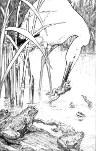 CLB Aesop Illustration 04