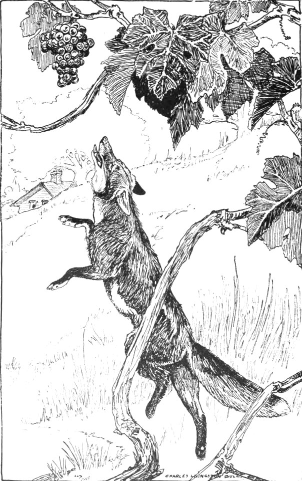 CLB Aesop Illustration 03