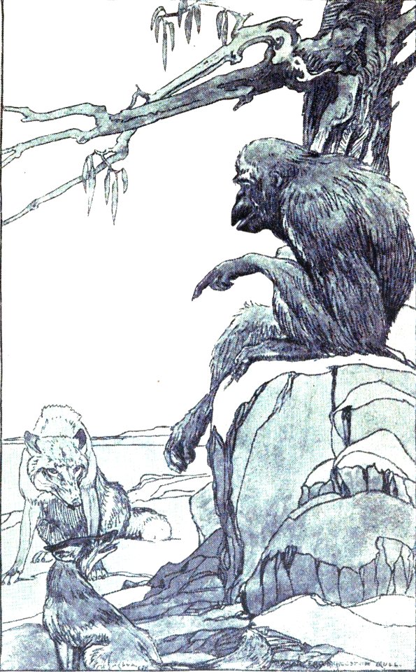 CLB Aesop Illustration 01
