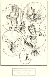 Tom Thumb 2