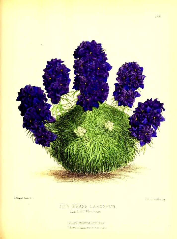 1877 Plate 283