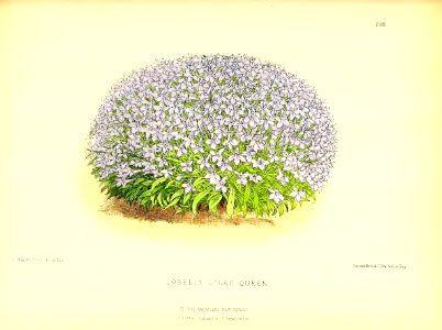 1877 Plate 280