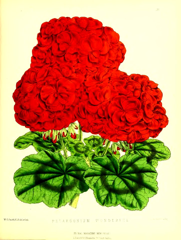 1875 Plate 190