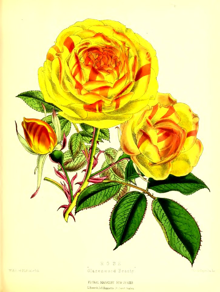 1875 Plate 174