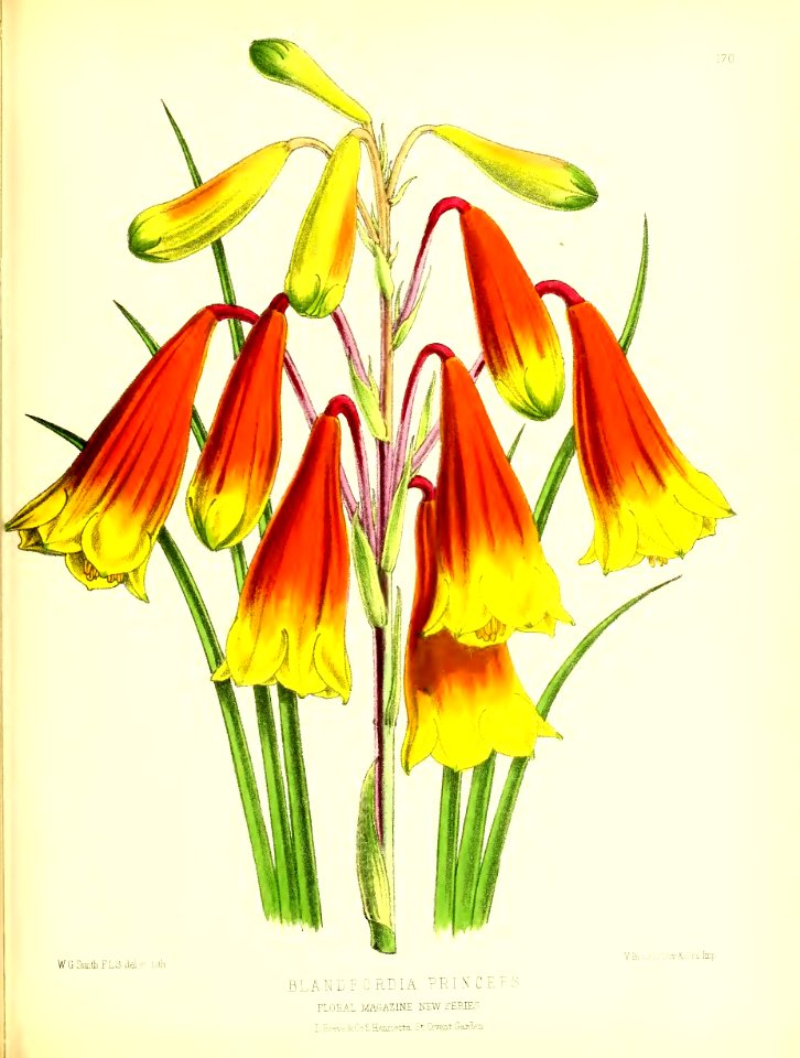 1875 Plate 170