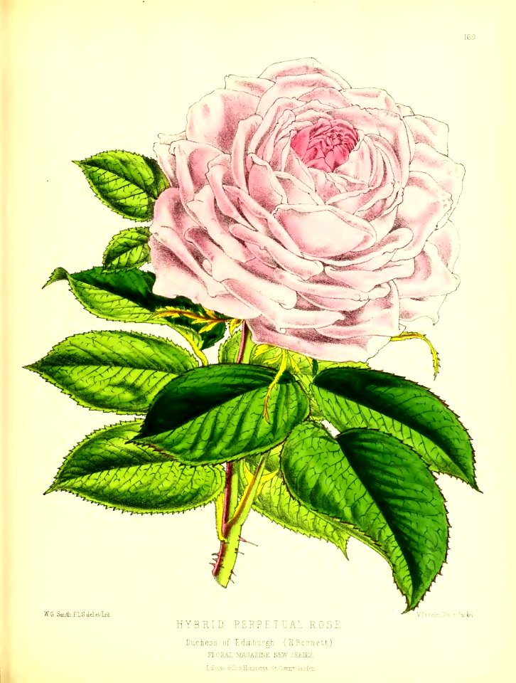 1875 Plate 169