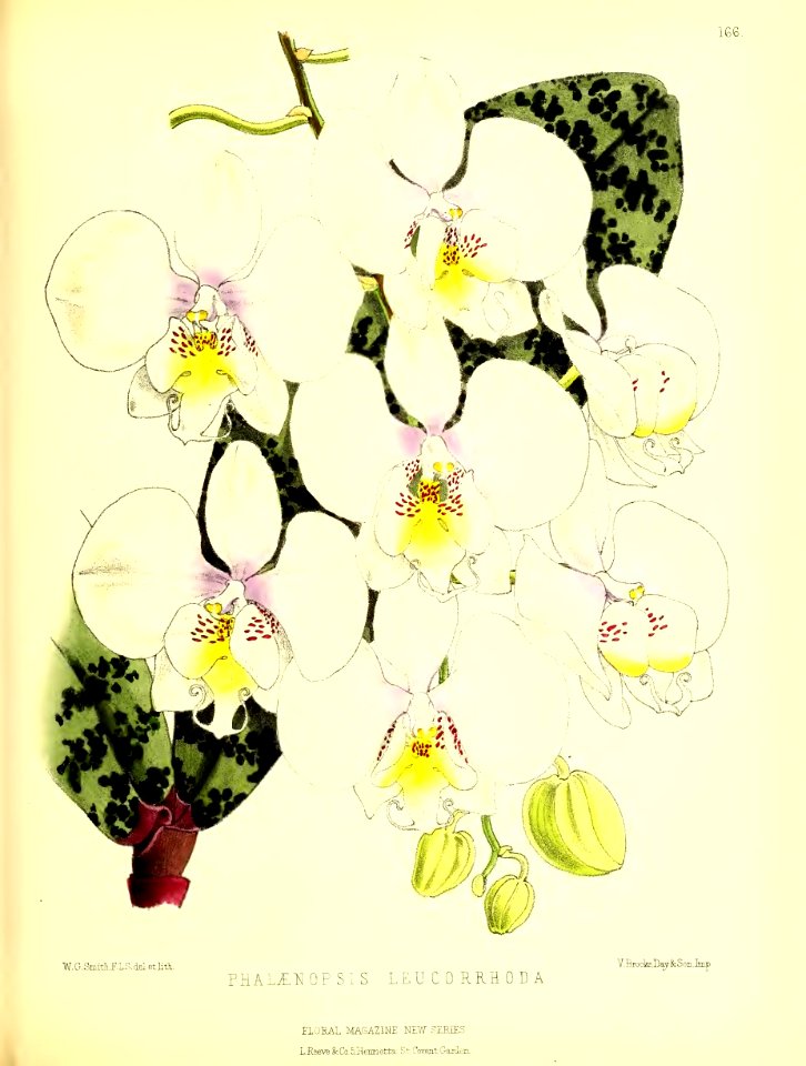 1875 Plate 166