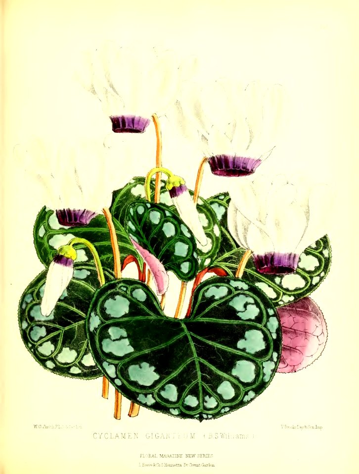 1875 Plate 163