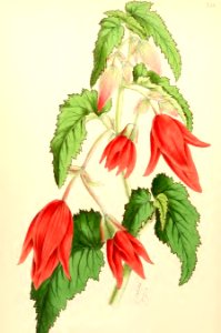 1867 Vol VI Plate 354