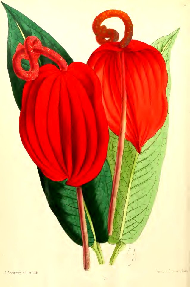 1867 Vol VI Plate 349