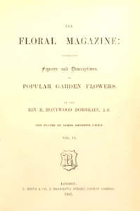 1867 Vol VI Floral Magazine. Free illustration for personal and commercial use.