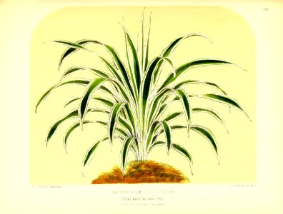 1875 Plate 152