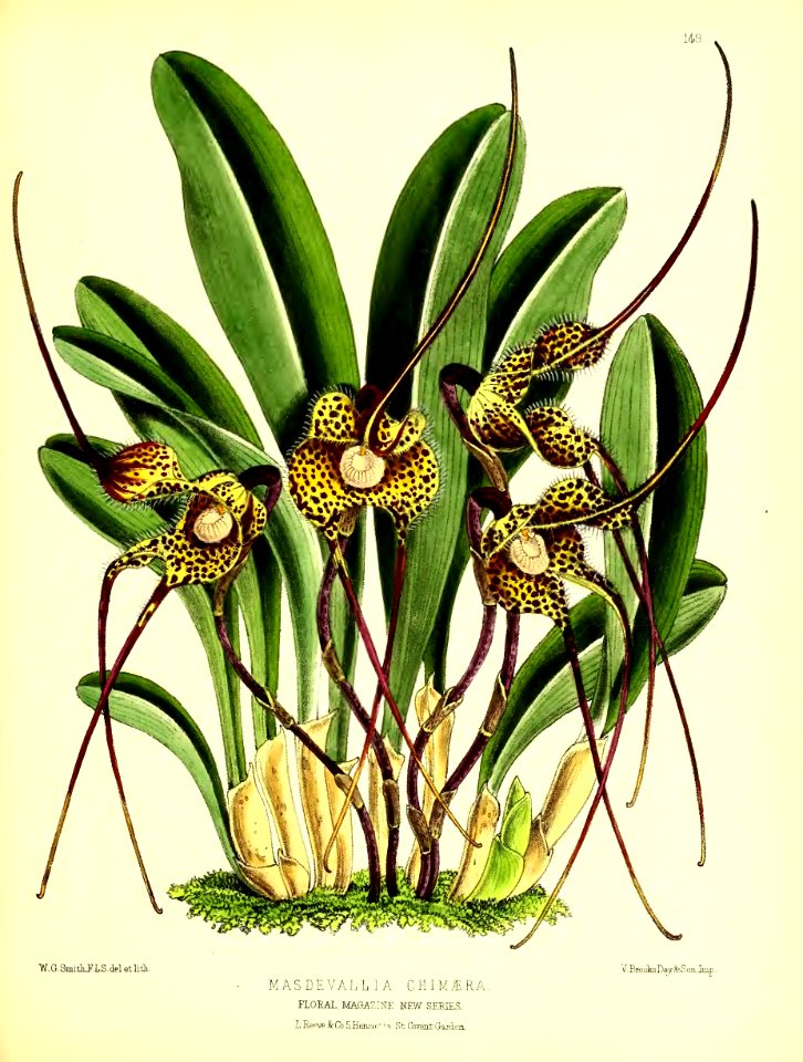 1875 Plate 149