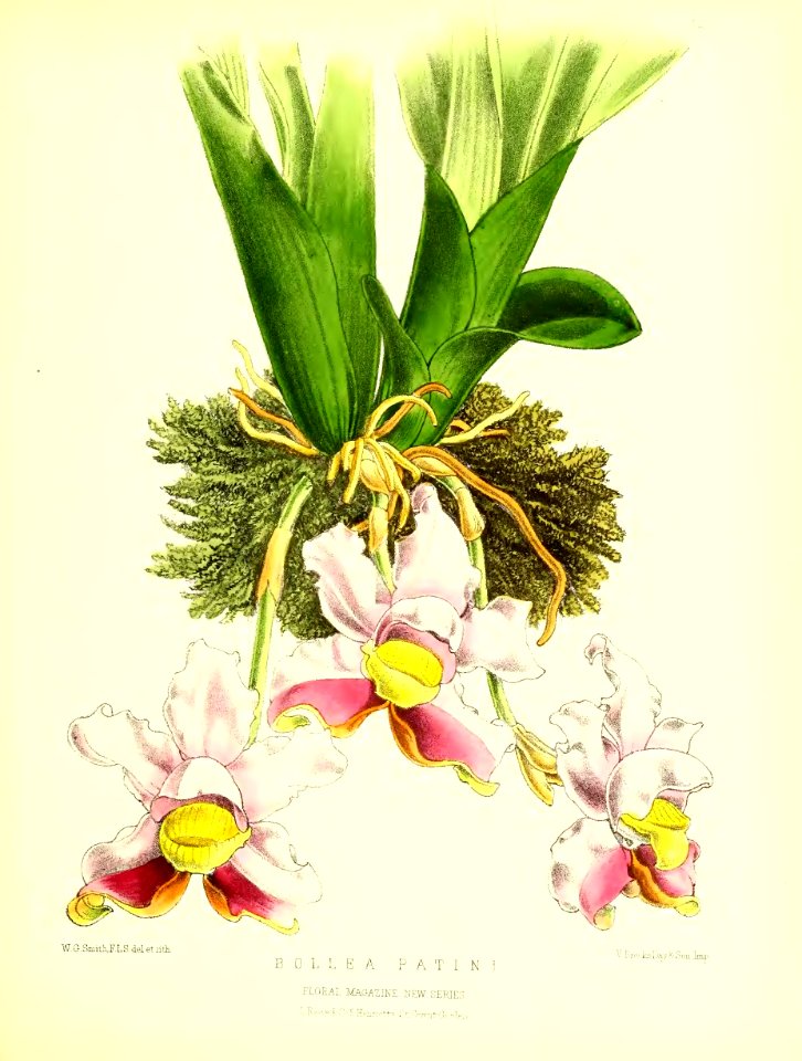 1875 Plate 147