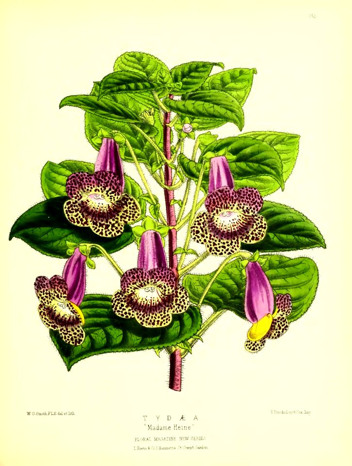 1875 Plate 145