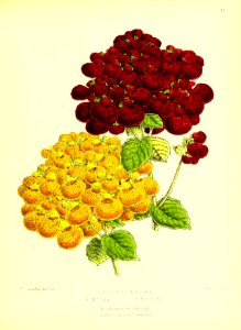 1872 New Series Plate 47