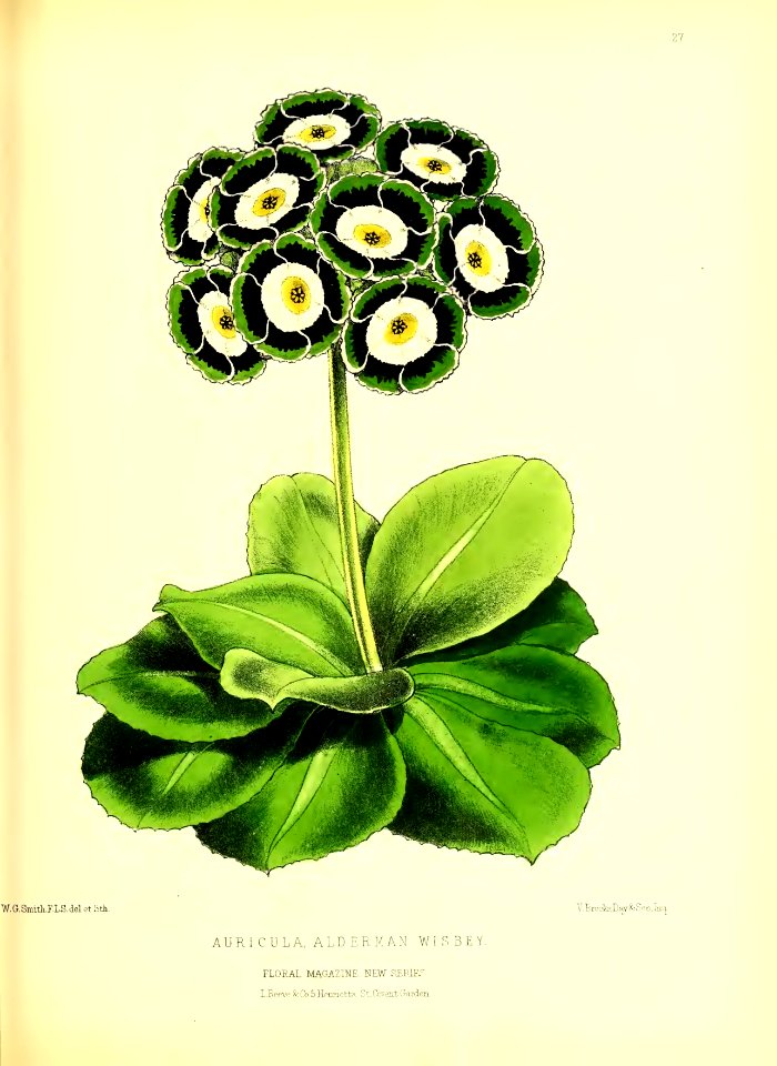 1872 New Series Plate 27