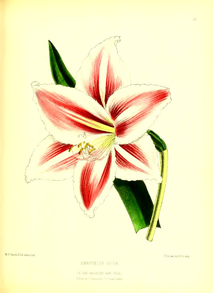 1872 New Series Plate 22