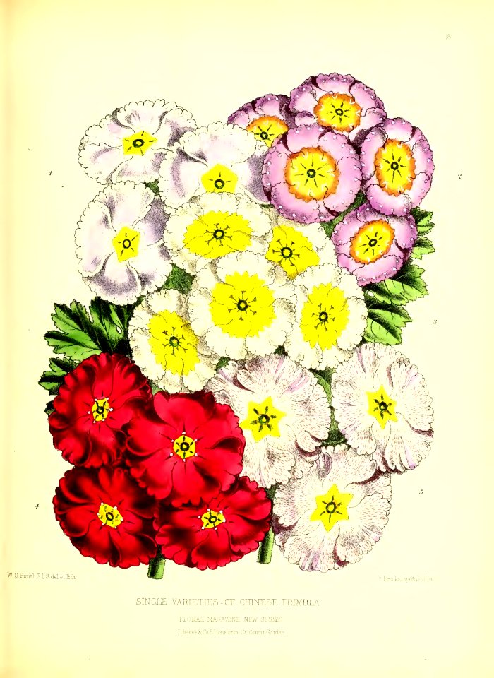 1872 New Series Plate 18