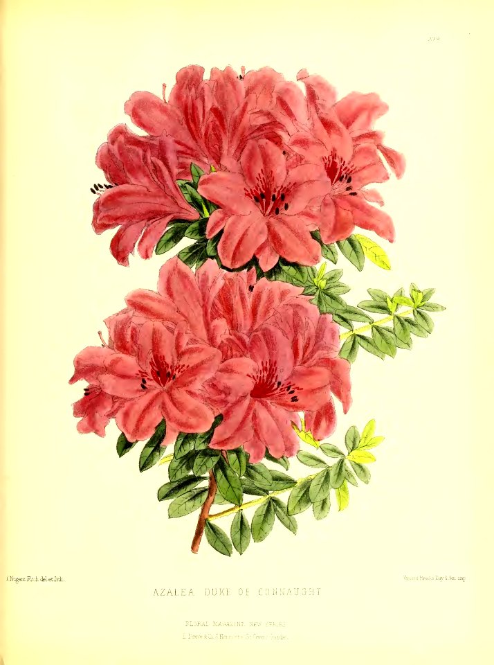 1879 Plate 378