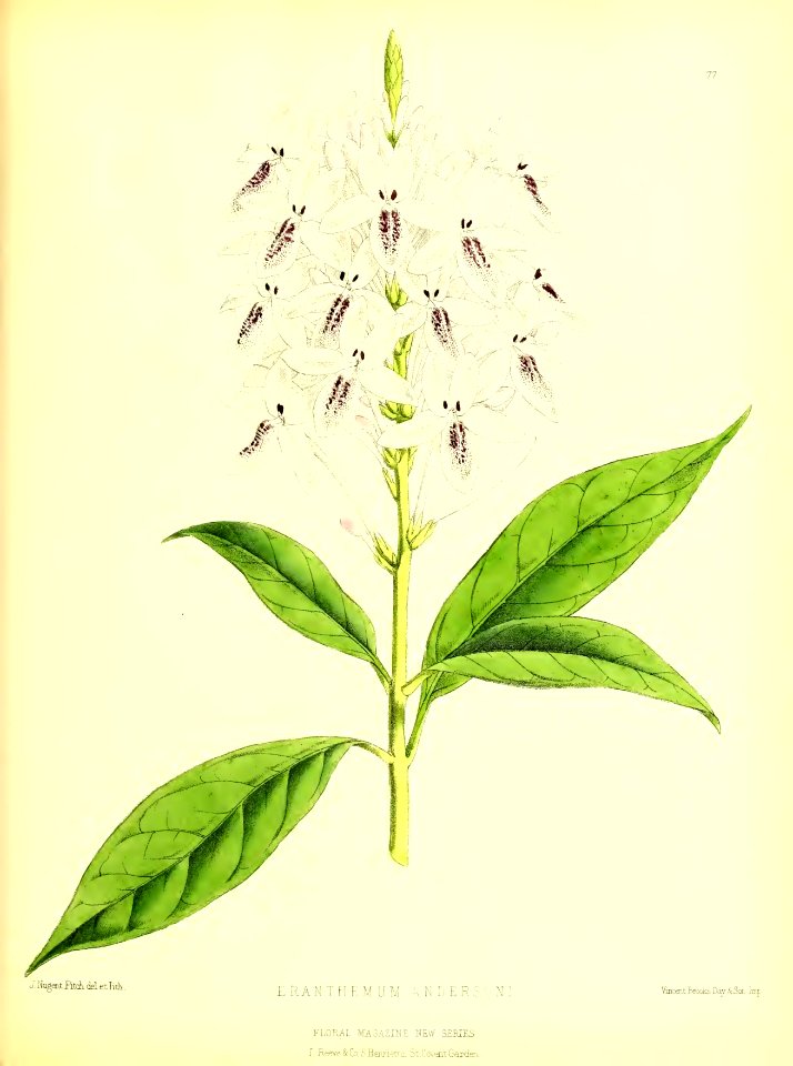 1879 Plate 377