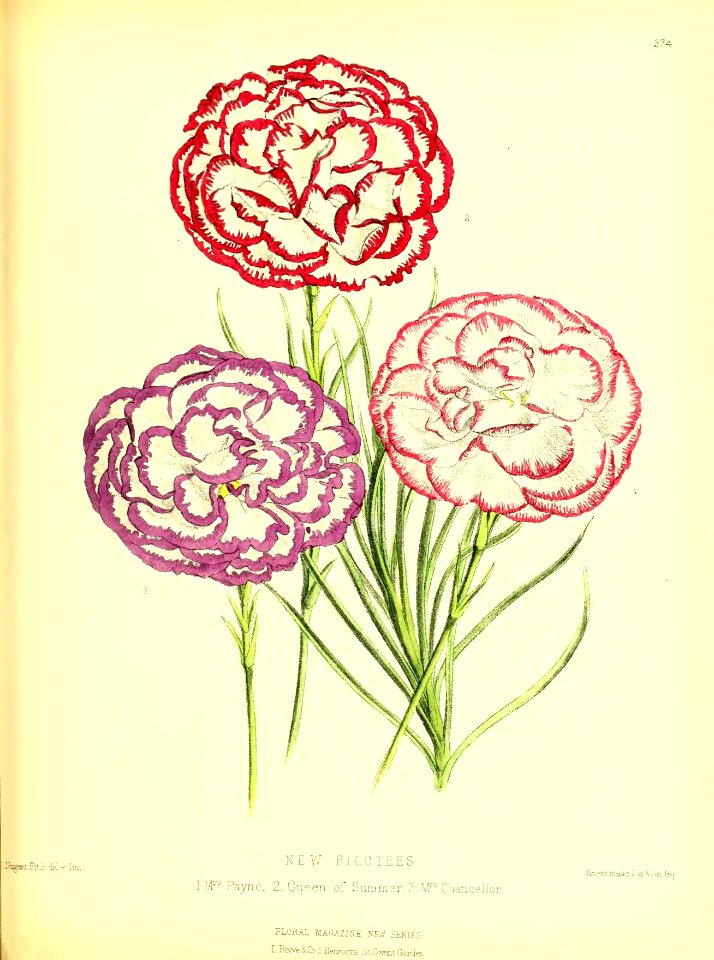 1879 Plate 374