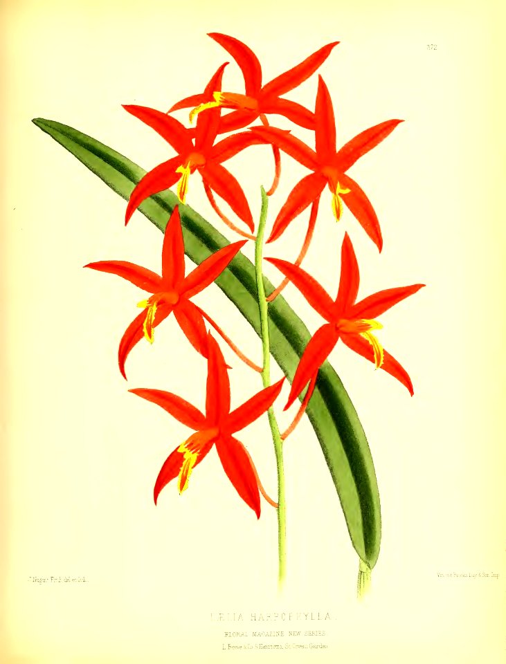 1879 Plate 372