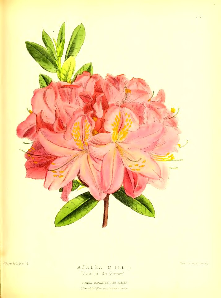1879 Plate 367