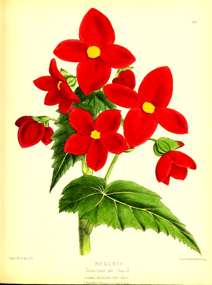 1879 Plate 366