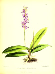 1879 Plate 358