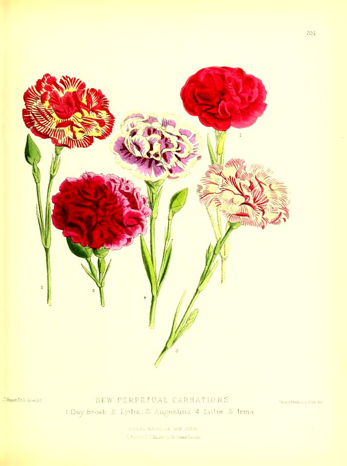 1879 Plate 351