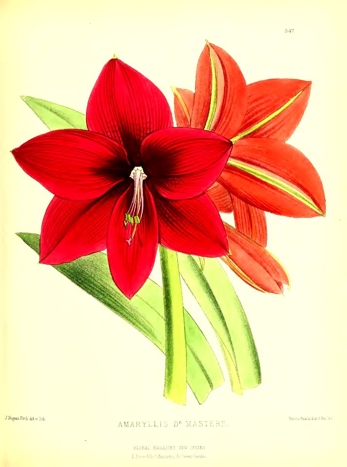 1879 Plate 347