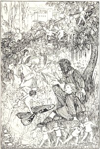 29