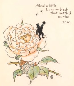 29