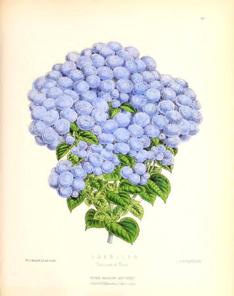 1874 Plate 140