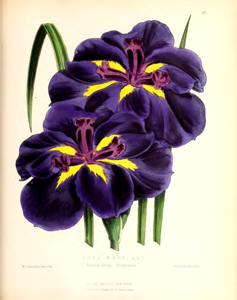 1874 Plate 137