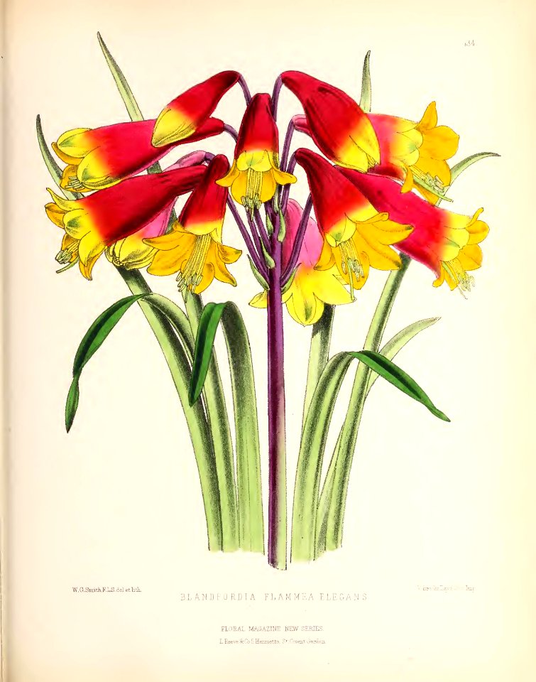 1874 Plate 134