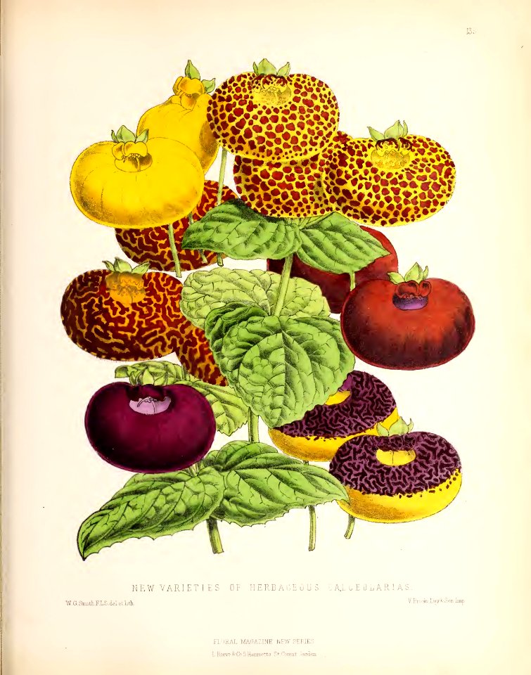 1874 Plate 135