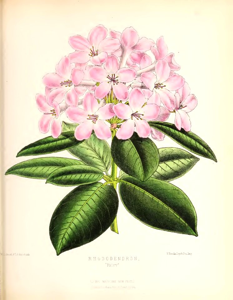 1874 Plate 132