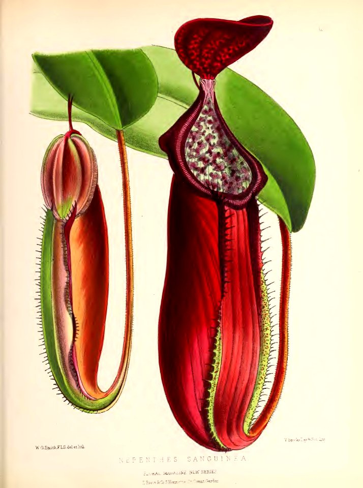 1874 Plate 128