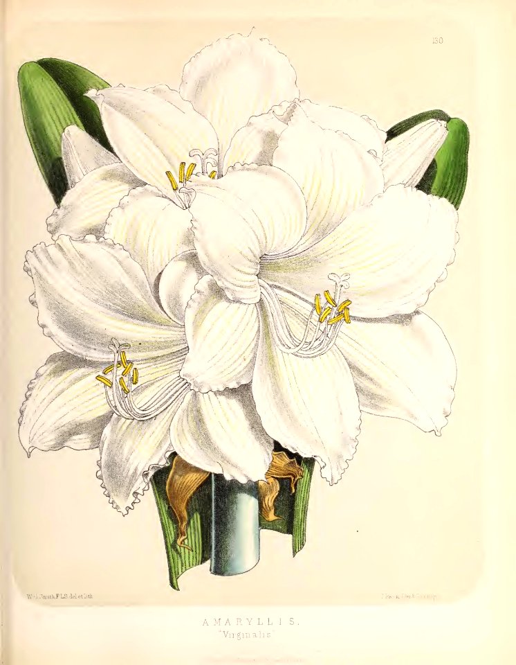 1874 Plate 130