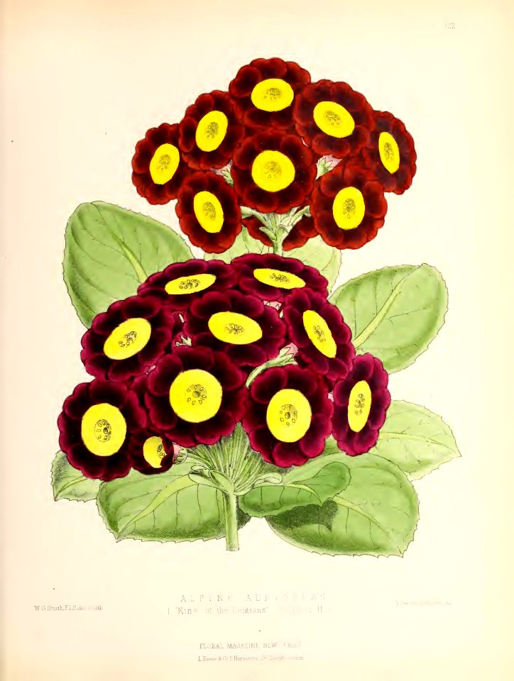 1874 Plate 122