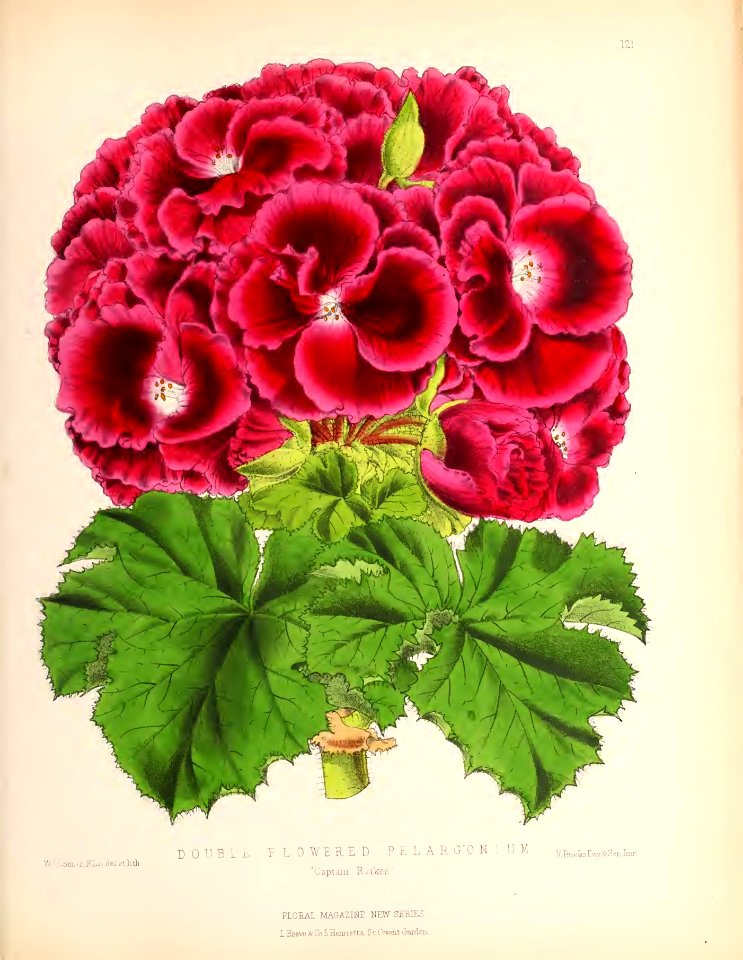 1874 Plate 121