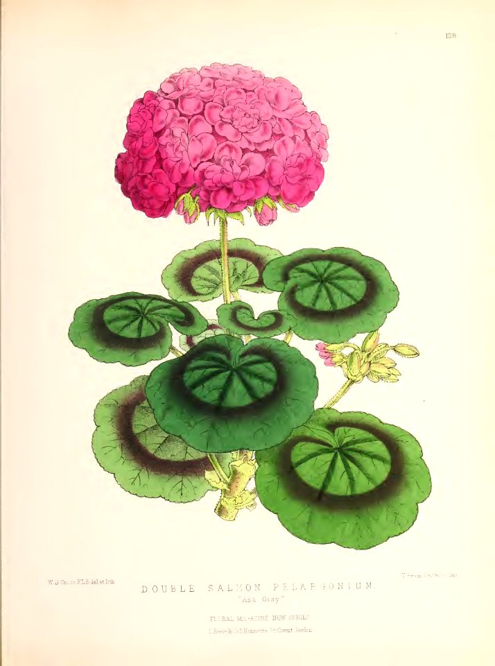 1874 Plate 108
