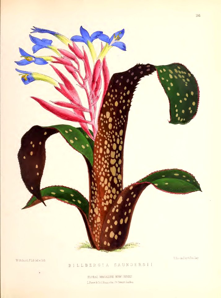 1874 Plate 106