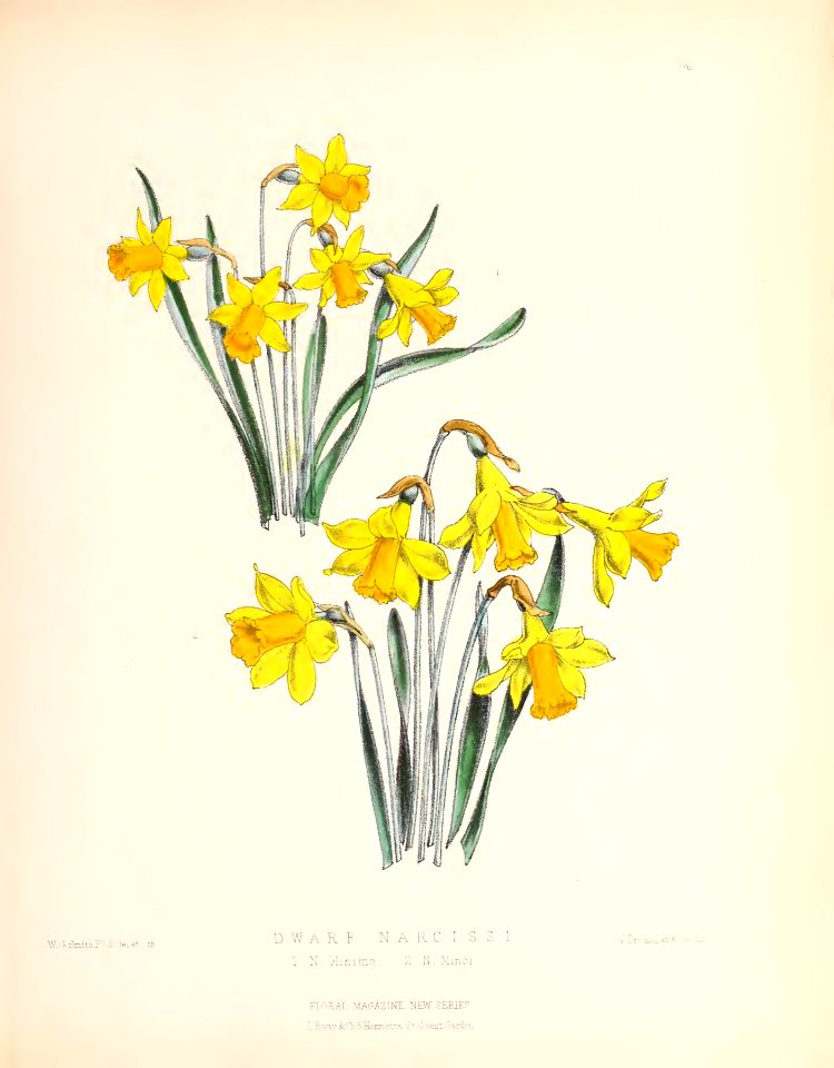1873 Plate 96