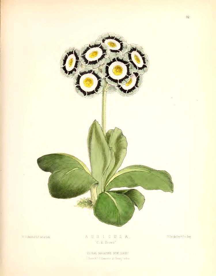 1873 Plate 92