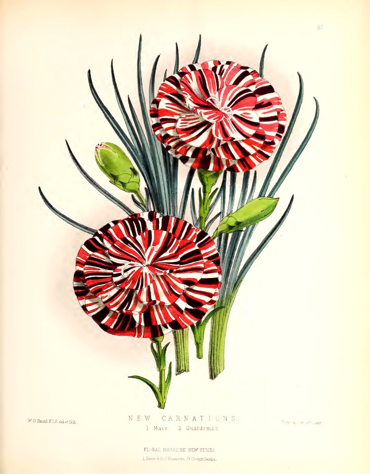 1873 Plate 87